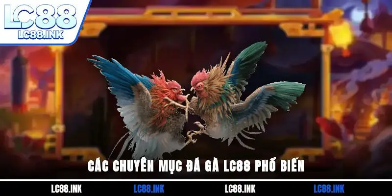 Đá Gà LC88 - Tận Hưởng Các Trận Đấu Chiến Kê Đẳng Cấp 4 Các chuyên mục đá gà LC88 phổ biến
