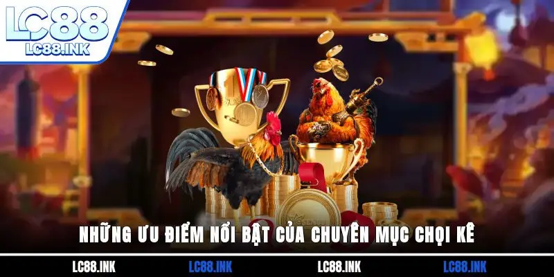Đá Gà LC88 - Tận Hưởng Các Trận Đấu Chiến Kê Đẳng Cấp 3 Những ưu điểm nổi bật của chuyên mục chọi kê